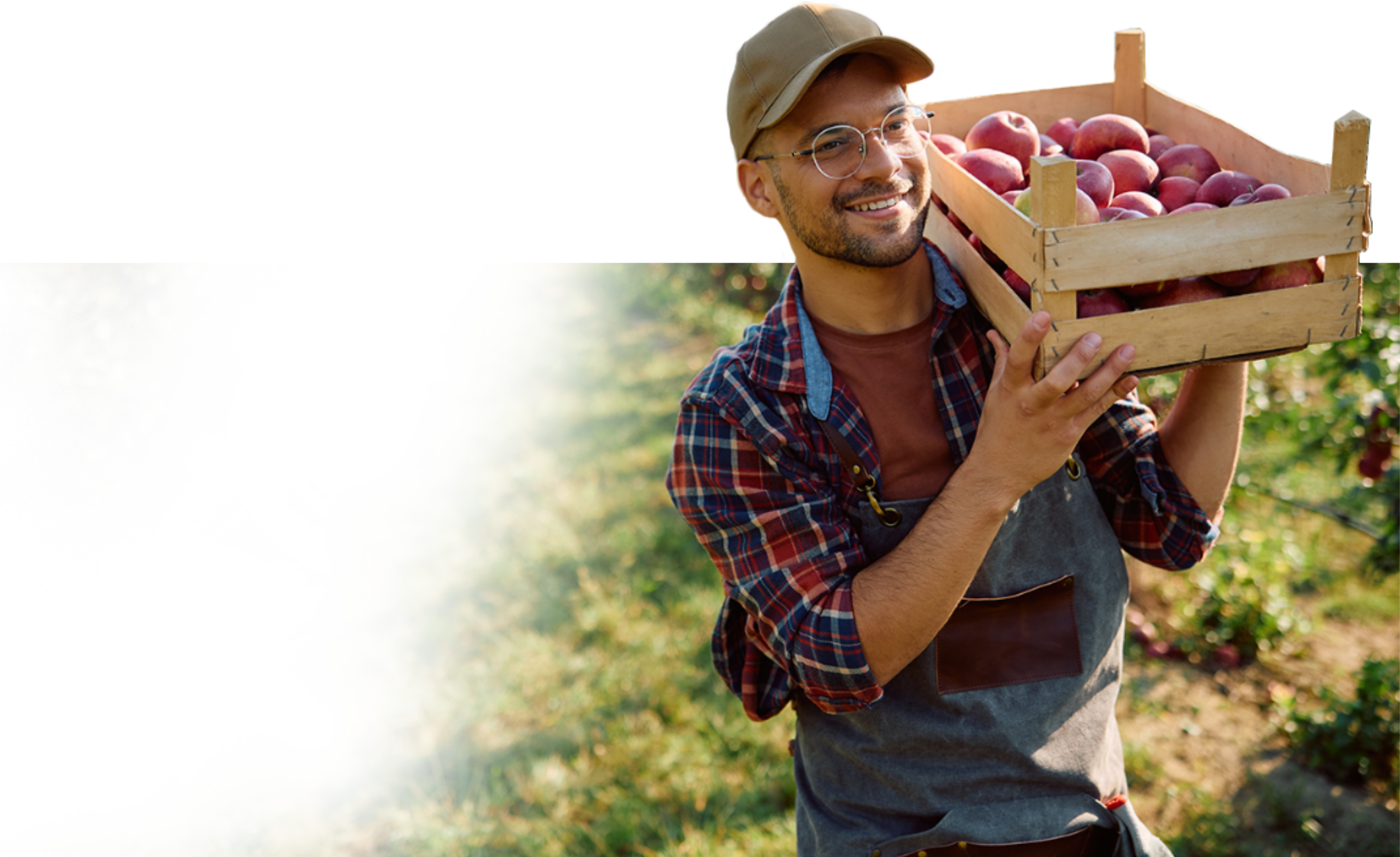 Grower carrying apples